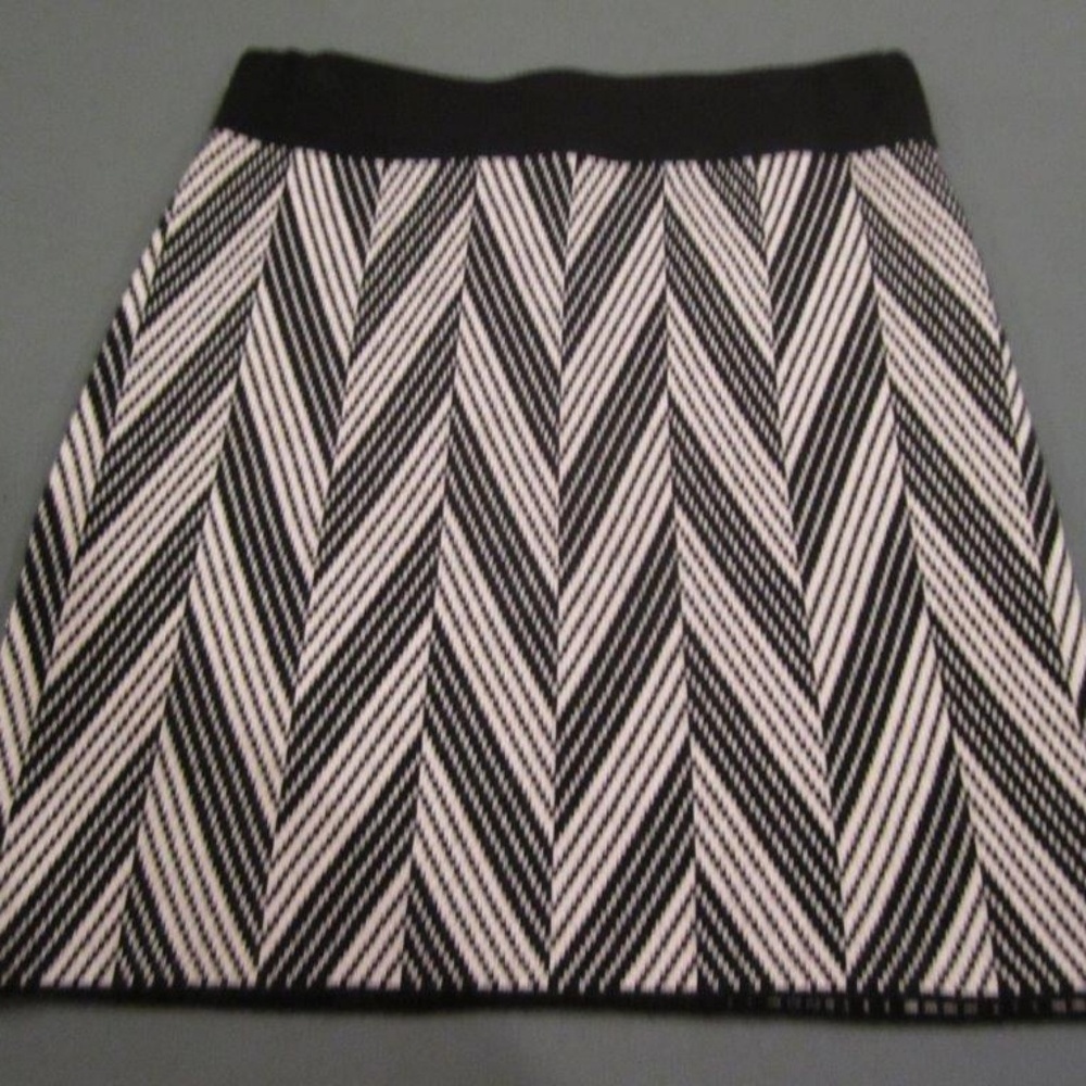 Ann Taylor Skirt - Great Fit - Size Medium